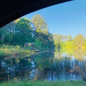 Meet your Posher, Itzel